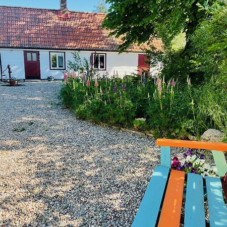 Trennegarden B&B Mjöhult Exteriér fotografie